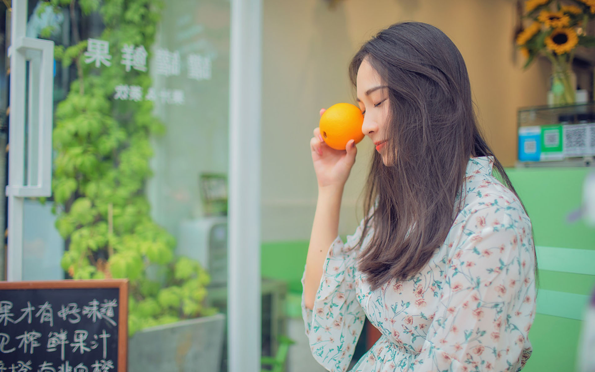 韩剧《明洞十二时》封面